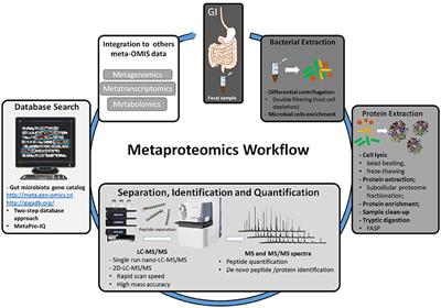 Metaproteomics as a Complementary Approach to Gut Microbiota in Health and Disease